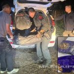 来自金三角的500公斤冰毒在泰国清盛被查获-免费彩金-白嫖彩金-白嫖网站大全